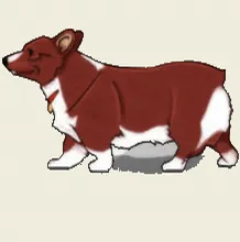 Ein walking 05